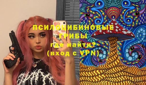 герыч Ладушкин