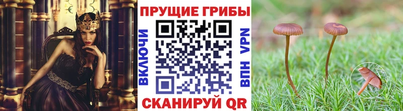 Псилоцибиновые грибы мухоморы кракен рабочий сайт Ряжск